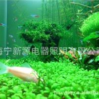 水族箱观赏灯---水族白 30W