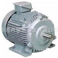 日立电机TFO-K 0.75KW(1HP) 4极/HITACHI三相卧式电机马达