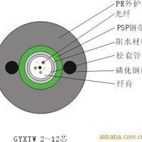 淮南供应立孚室内GYXTW光缆  价格优