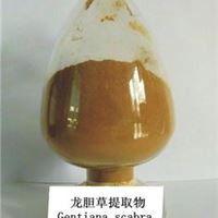 龙胆提取物 龙胆苦苷 Gentian root P.E.