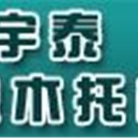 【免烧砖机托板】河北免烧砖机托板生产厂家——保定宇泰塑木托板