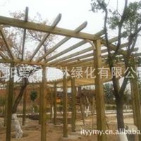 沈阳细河防腐木景观工程 工程承包