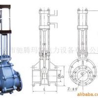 双闸板气动出料阀 驰腾玛特
