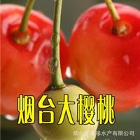 产地直供 生鲜水果精品 烟台大樱桃 个大 色正 口感好