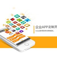 APP定制开发