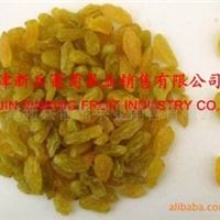 新疆无核金提子(#A)－GOLDEN RAISIN