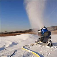 供应河南滑雪场滑雪设备输送人员设备魔毯A6