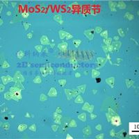 MOS2-WS2异质节