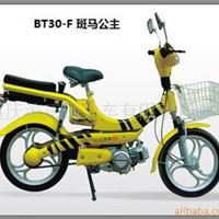 滨田 BT30-F 斑马公主 助力自行车