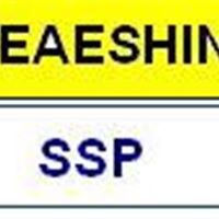 台湾SSP牌8-19mm棘轮两用扳手