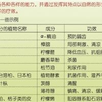 纯天然植物空气净化剂