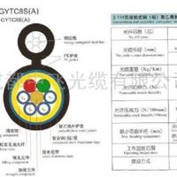 2-144芯层绞式钢(铝)聚乙烯护套自承式光缆