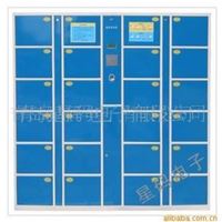 自助寄包柜 指纹识别式 金属柜