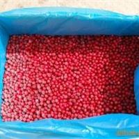 IQF Lingonberry