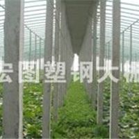 新型大棚骨架|日光温室骨架就选寿光宏图日光温室骨架！