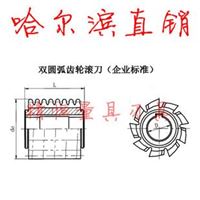 JB/T3913-1985 双圆弧齿轮滚刀