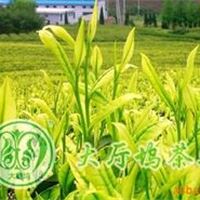 【大厅坞茶业】明前精品安吉白茶批250G精礼盒