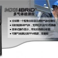 MX6 iBrid多气体检测仪