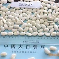 大白芸豆 85粒/100克