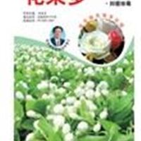 微生物菌肥的使用 微生物菌肥生产厂家_丰本