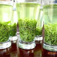 2011高山优质春茶毛尖茶叶 绿茶 名茶 毛尖绿茶