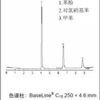 BaseLine高效液相色谱柱，价廉质优，替代进口