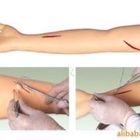 高级外科缝合手臂模型(医学模型、缝合模型)