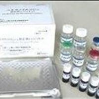 核因子κB抑制蛋白αELISA kit