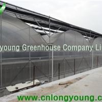 Plastic Film Greenhouse