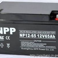 耐普蓄电池NP12-80Ah 12V80AH