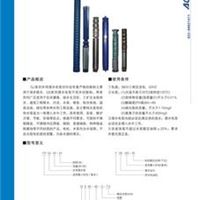 地热潜水泵|地热深井泵 深井潜水泵