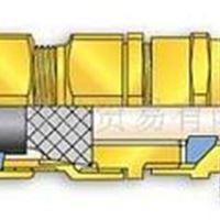 CMP防爆电缆接头E1FX/Z铠装接头