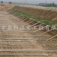 寿光温室工程承建公司 批发销售卷帘机保温被-鑫科