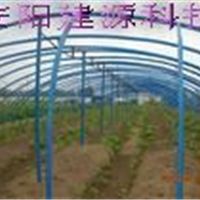 食用菌大棚造价 啊 新型环保大棚 就找安阳建源