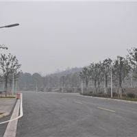 铝合金灯杆， 道路灯杆