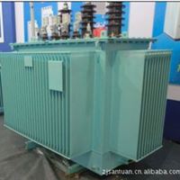 三相油浸式质优价廉容量级S11M-100KVA/35KV电力变压器