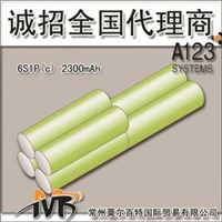 美国A123磷酸铁锂6S1P（C型）电池组