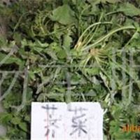 荠菜 野菜 0（mg/kg）