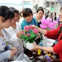 提供丝网花成品加工 丝网花成品加工