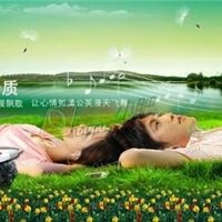 深圳厂家供应礼品苹果夹子MP3 广告夹子MP3