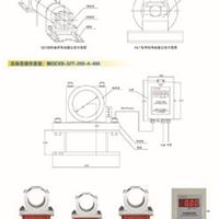 智能双光柱数字显示仪