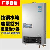 恒温热水器 燃气热水器 12L 触摸大显示 铜水箱 强排式