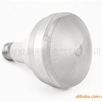 4.9W LED节能灯 威廉R30