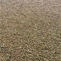 出售 大量  优质 精装 茶叶籽仁