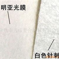 PE淋膜针刺棉 涤纶化纤