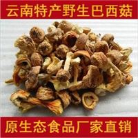 特级姬松茸 食用菌 巴西蘑菇 保健营养品 干货批发 巴西菇