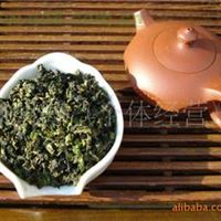 明海推荐：铁观音秋茶亮相 茶农