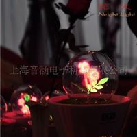 LIGHT花火夜灯|小夜灯|盆景灯 喇叭花 玫瑰花 生日礼物