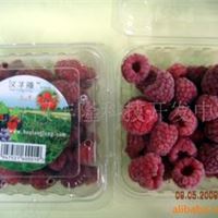 汉丰隆科速冻红莓（暗红莓）frozen  raspberry