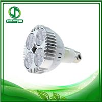 led par30射灯